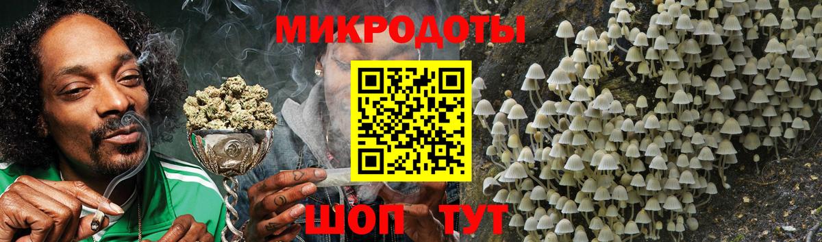 Галлюциногенные грибы Magic Shrooms Вязники