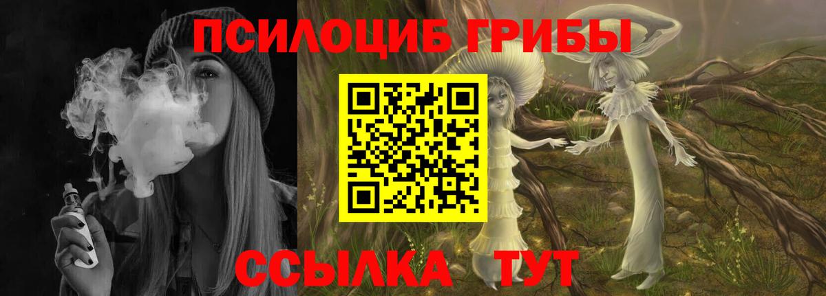 Галлюциногенные грибы Psilocybe  Псилоцибиновые грибы Psilocybine cubensis  Вход с VPN  Вязники 